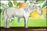 Horse Color:Silver Bay Ice Pearl Dun Sabino  Brindle