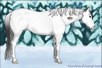 Horse Color:Grullo Splash Tobiano 