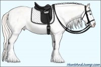 Horse Color:Cremello Dun Sabino  Brindle