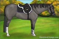 Horse Color:Grullo Roan 