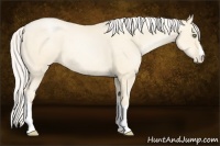 Horse Color:Silver Amber Cream Champagne Pearl 