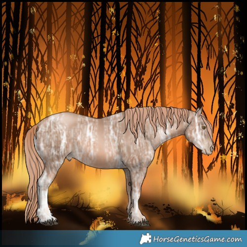 Horse Color:Liver Chestnut Ice Pearl 