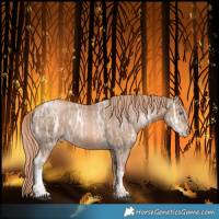 Horse Color:Liver Chestnut Ice Pearl