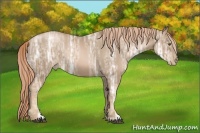 Horse Color:Liver Chestnut Ice Pearl 