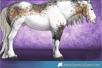 Horse Color:White Spotted Silver Buckskin Ice Splash 