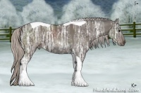 Horse Color:Silver Black Ice Sabino Tobiano 