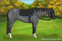 Horse Color:Blue Roan