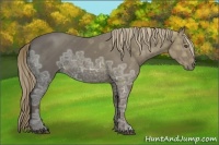 Horse Color:Liver Chestnut Ice 