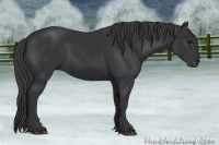 Horse Color:Black Sabino