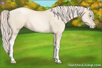 Horse Color:Gold Cream Champagne Pearl 