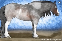 Horse Color:White Spotted Brown Roan 