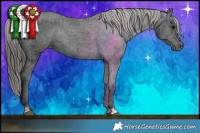 Horse Color:Black Varnish Rabicano 