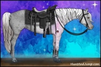 Horse Color:Black Appaloosa Rabicano 