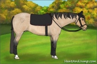 Horse Color:Buckskin Roan 