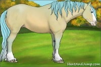 Horse Color:Watercolor Amber Cream Champagne Splash 