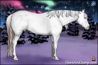 Horse Color:Bay Splash Frame Snowflake Varnish 