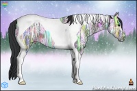 Horse Color:Brown Ice Tobiano