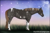 Horse Color:Liver Chestnut Tobiano 