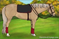 Horse Color:Palomino