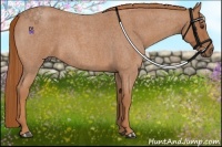 Horse Color:Red Roan Rabicano
