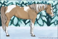 Horse Color:Palomino Roan Splash Tobiano