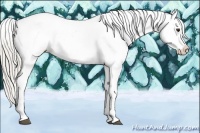Horse Color:Silver Buckskin Dun Tobiano Varnish 