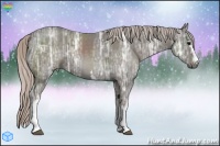 Horse Color:White Spotted Silver Black Ice
