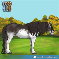 Horse Color:White Spotted Liver Chestnut 