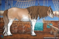 Horse Color:White Spotted Brown Pearl Rabicano