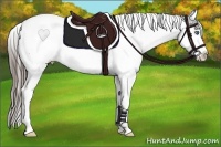 Horse Color:Black Splash Frame Appaloosa Rabicano 