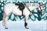 Horse Color:Blue Roan Tobiano Appaloosa 