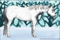 Horse Color:Brown Sabino Splash Tobiano Frame
