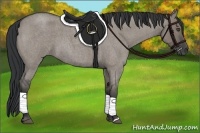 Horse Color:Grullo Roan 
