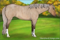 Horse Color:Silver Bay Roan Dun 