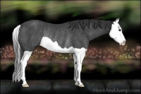 Horse Color:Smoky Black Splash Rabicano
