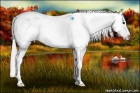 Horse Color:Silver Brown Snowcap