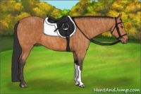 Horse Color:Bay  Brindle