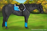 Horse Color:Black  Brindle