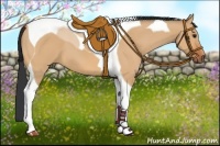 Horse Color:Bay Dun Tobiano