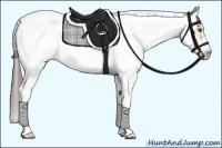 Horse Color:Classic Cream Champagne Dun Splash Tobiano Frame Rabicano