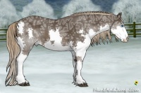 Horse Color:Liver Chestnut Ice Splash 