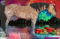 Horse Color:Bay Ice Brindle