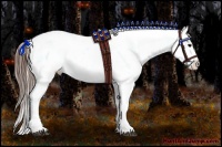 Horse Color:Brown Ice Appaloosa Brindle