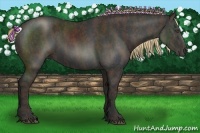 Horse Color:Liver Chestnut Frame Brindle