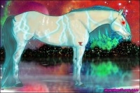 Horse Color:Thunderstruck Buckskin Ice Dun Sabino  Brindle