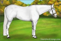 Horse Color:Chocolate Palomino Pearl Snowcap 