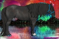 Horse Color:Liver Chestnut Rabicano 