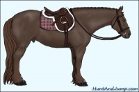 Horse Color:Liver Chestnut Frame 