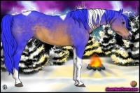 Horse Color:Watercolor Brown Tobiano