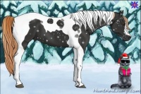 Horse Color:Liver Chestnut Tobiano 